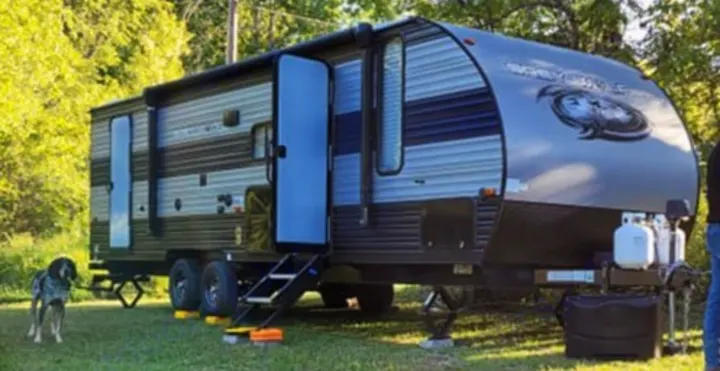 Forest River Cherokee Grey Wolf 2020