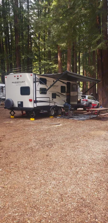 RV rental: A Passport Ultra-Lite travel trailer is set up with an awning at a tranquil redwood forest campsite.. Keystone Passport 2019