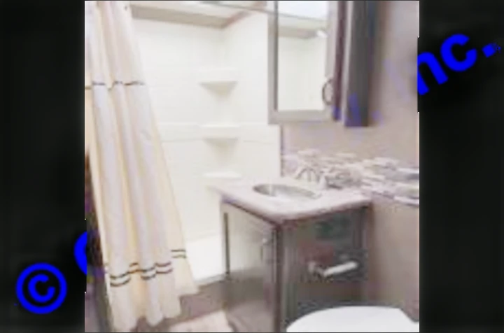 RV rental's compact bathroom features a bright standing shower, patterned curtain, vanity with sink, and toilet. Ideal for travel.. Thor Motor Coach Freedom Elite 2019