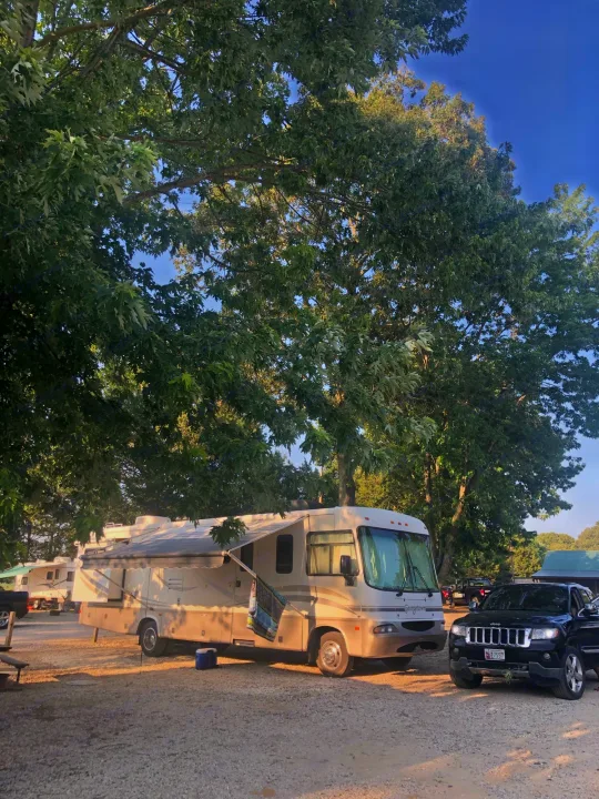 RV rental motorhome parked at a sunny campground with a Jeep, under large trees.. Forest River Georgetown 2002