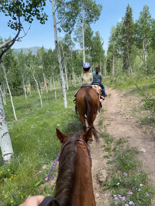 Keystone Passport 2021