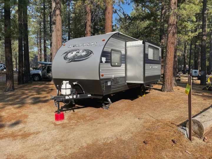 This Wolf Pup RV rental travel trailer is set up at a sunny campsite among tall pine trees, ready for camping adventures.. Forest River Cherokee Wolf Pup 2020
