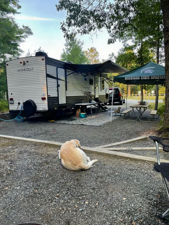 Serene campsite featuring an RV rental, Michigan State tent, picnic table, and a relaxed dog on gravel. Perfect outdoor leisure.. Keystone Hideout 2021