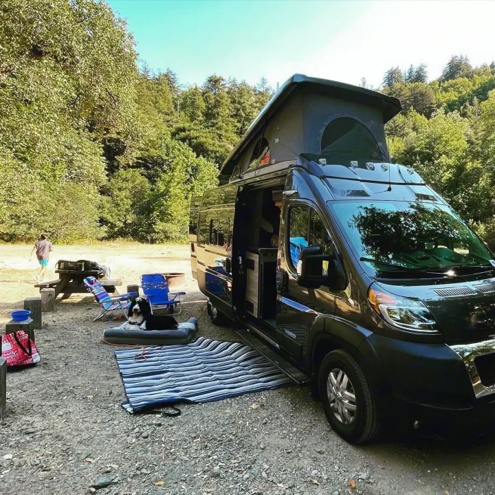 Enjoying an **RV rental** adventure! A pop-top camper van is set up at a rustic campsite with a dog, picnic area, and trees.. Winnebago Solis 2022