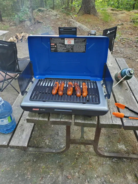 Grilling hot dogs on a Coleman camp grill at a picnic table, ready for a delicious meal on your RV rental outdoor adventure.. nuCamp T@G 2021