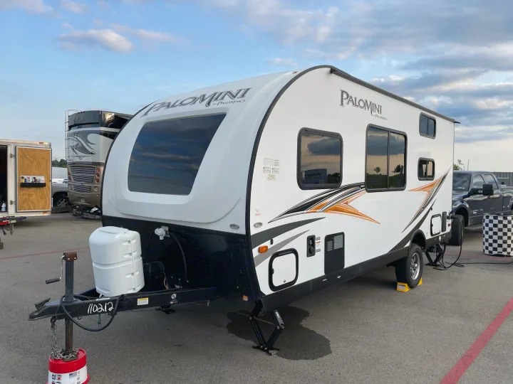 Palomino Palomini 2019