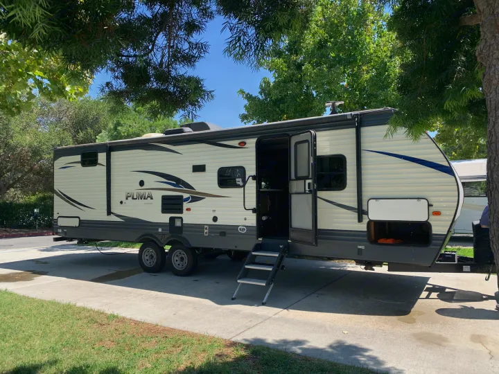 Palomino Puma 2019