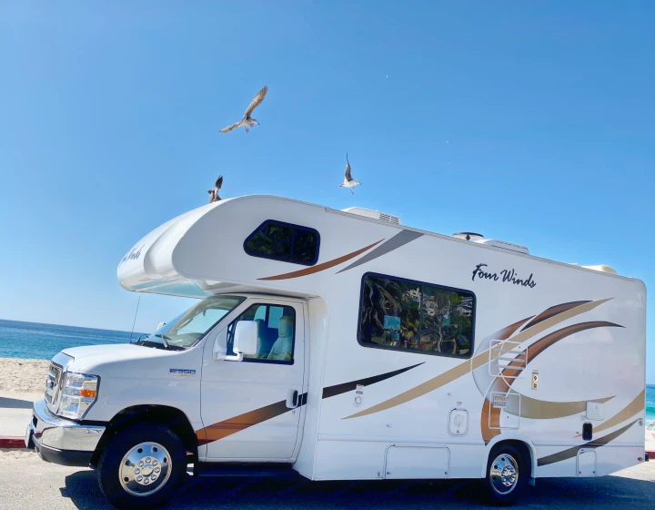White Four Winds RV rental parked seaside under a clear blue sky, with seagulls soaring above.. Thor Four Winds 2019