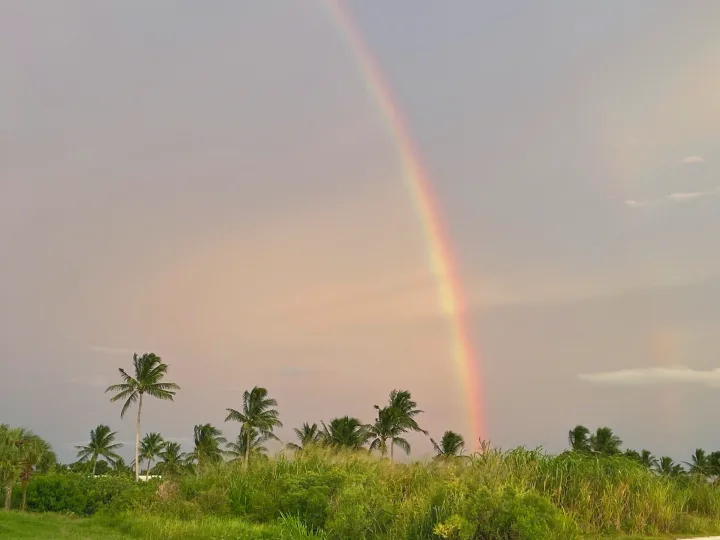 Vibrant rainbow arcs over palm trees & lush green foliage against a pink sky. Ideal for your next RV rental road trip.. Foretravel U-320 2001