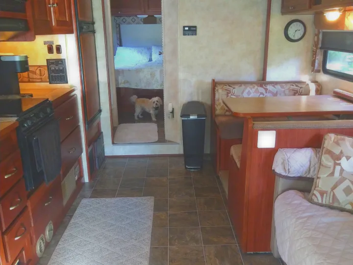 Inside a cozy RV rental: kitchen with coffee maker, dinette, and a happy dog peeking from the bedroom.. Winnebago Access 2011