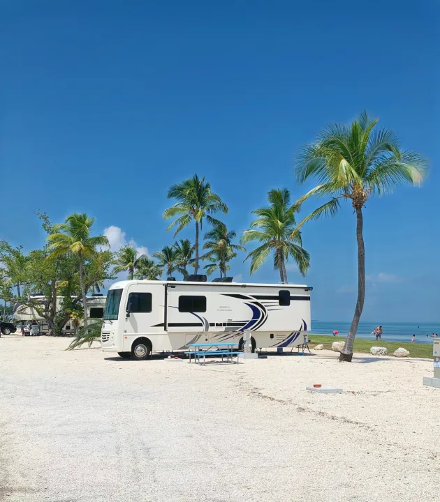 White RV rental at a tropical park, featuring palm trees, a blue picnic table, and distant beach with swimmers under a clear sky.. Holiday Rambler Admiral 2021
