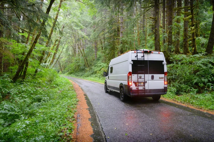 RV rental driving through a lush, moss-covered forest on a scenic, wet road. Ideal for nature exploration.. Dodge RAM Promaster 2500 159' Wheelbase 2017