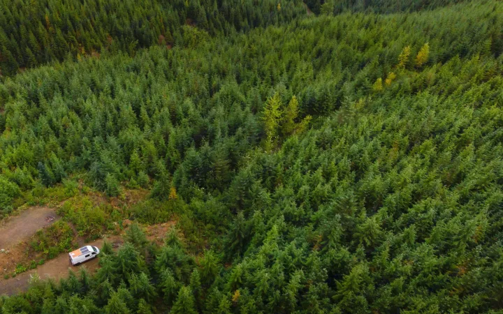 Aerial view: A white RV rental parked on a dirt path in a dense green forest, showcasing secluded nature camping.. Dodge RAM Promaster 2500 159' Wheelbase 2017