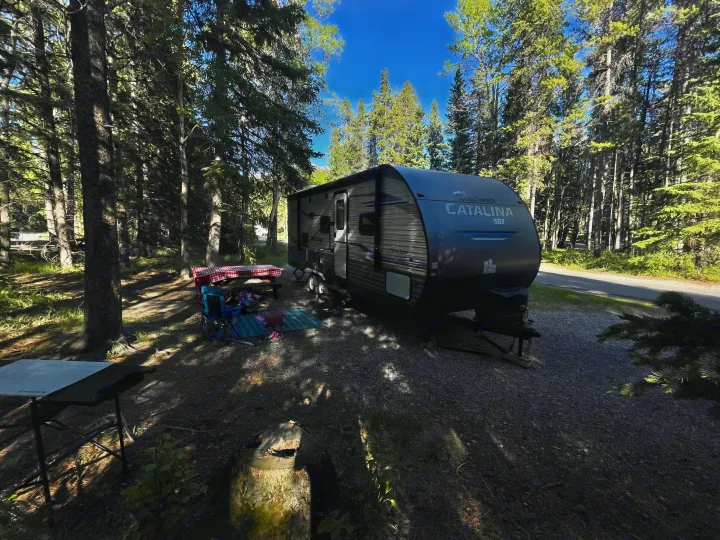 Serene forest campsite with a grey RV rental, picnic table, and chairs under dappled sunlight.. Coachmen Catalina SBX 221TBS 2019
