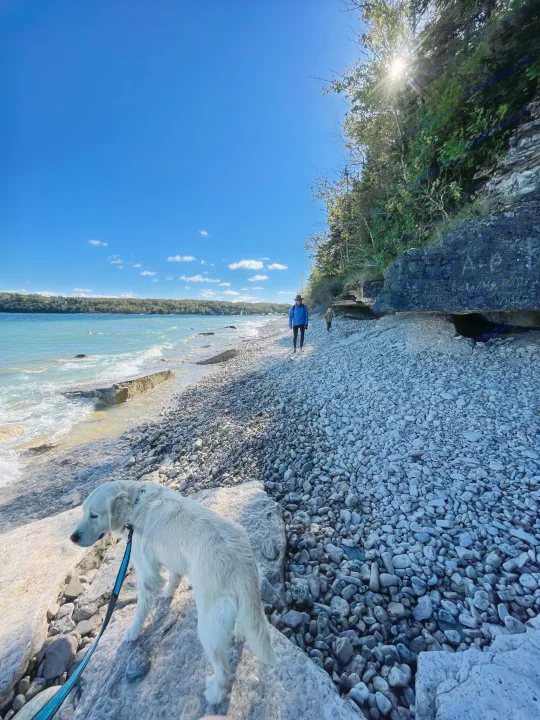 Golden retriever and family enjoy a sunny, rocky beach walk by turquoise waters and cliffs. A perfect RV rental adventure!. Coachmen Catalina SBX 221TBS 2019