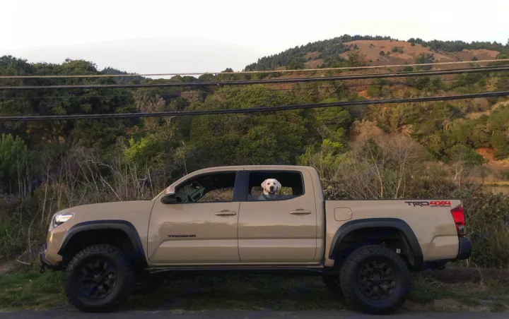Beige Toyota Tacoma truck, a loyal lab onboard, ready for adventure! Enhance your trip with an RV rental.. Toyota Tacoma 2017
