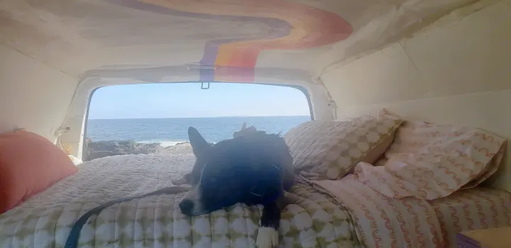 Enjoying a serene ocean view from this cozy RV rental. A happy dog rests on the bed under a colorful rainbow ceiling.. Chevrolet Express 2018