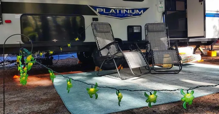 Awesome sea turtle lights!. Forest River Salem 2022