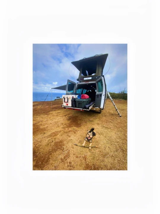 RV rental with pop-up tent & awning by the ocean. A happy dog plays with a stick on the grassy cliff.. Ford Econoline 2009