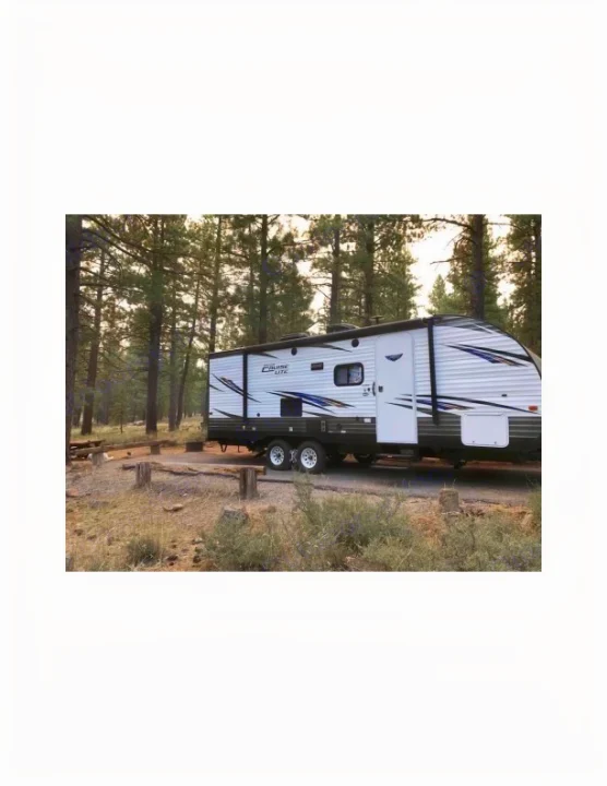 Experience nature with an RV rental. A white travel trailer is parked in a rustic forest campsite, surrounded by tall trees.. Forest River Salem Cruise Lite 2018