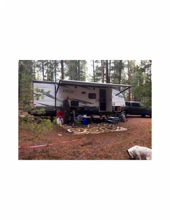 RV rental setup in a forest campground with a man, dog, and outdoor living area.. Forest River Salem Cruise Lite 2018