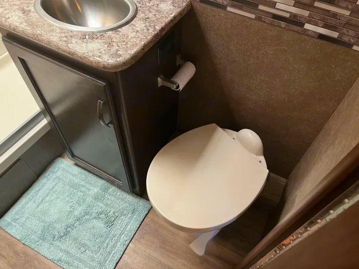 RV rental's compact bathroom features a vanity with sink, toilet, and shower area. Practical layout for small spaces.. Thor Freedom Elite 2020