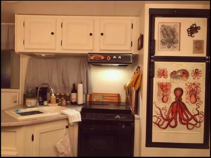 Explore this cozy RV rental kitchen: white cabinets, compact stove, sink, and a fridge adorned with unique octopus art.. Heartland North Trail 2009