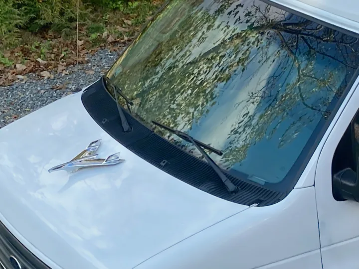 Front of a white van, possibly an RV rental, with a chrome winged hood ornament & wipers. Trees reflect in the windshield.. Ford E350 Box Van 2003
