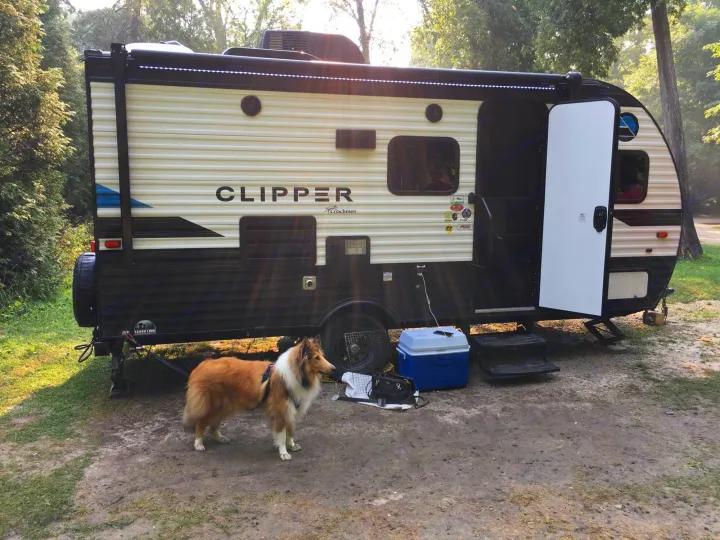 Collie dog beside a Coachmen Clipper travel trailer RV rental at a sunny campsite. Ready for adventure!. Coachmen Clipper 2020