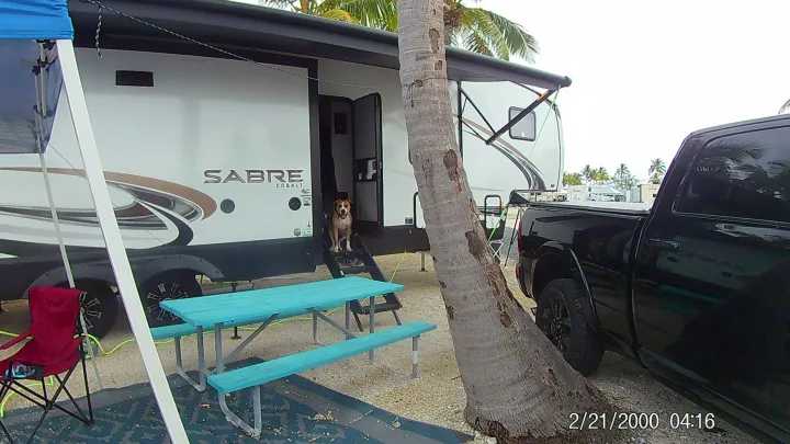 Happy dog on RV steps, blue picnic table outside a white Sabre Cobalt RV rental at a tropical campsite.. Forest River Sabre 2021