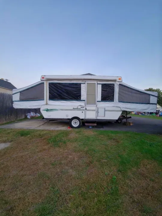 Palomino Other 2001