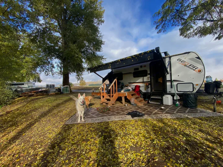 Forest River Rockwood Geo Pro 2021