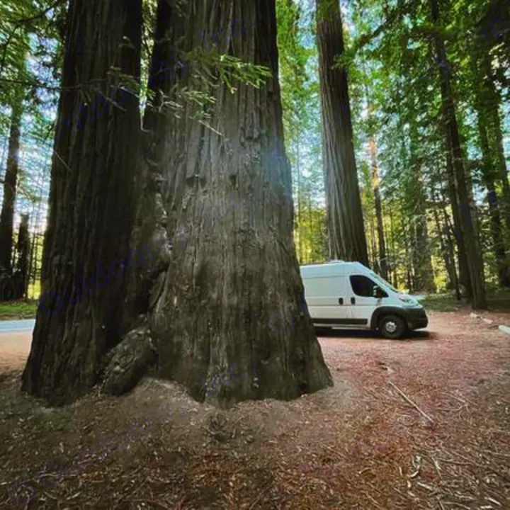 Discover ancient redwoods! This white RV rental is dwarfed by towering trees in a serene forest setting.. Dodge Ram Promaster 2500 2017