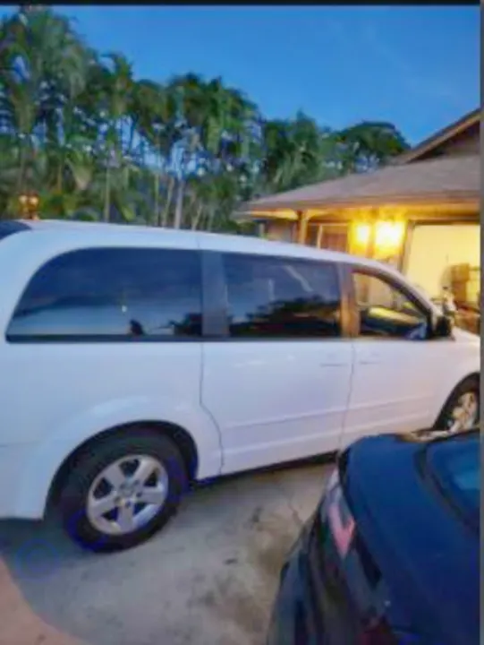 Dodge dodge grand caravan 2009