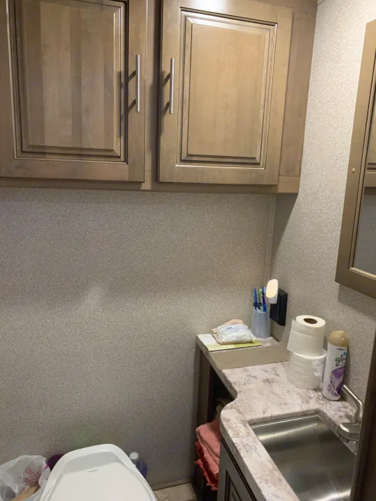 Compact RV rental bathroom: overhead cabinets, countertop sink, toilet, and essentials. Ideal for travel comfort.. Forest River Georgetown 2019
