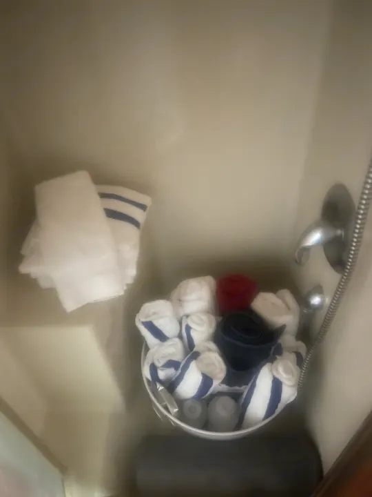 RV rental bathroom: neatly rolled towels (white, blue, red, navy) and toiletries by the shower.. Airstream Skydeck 2008