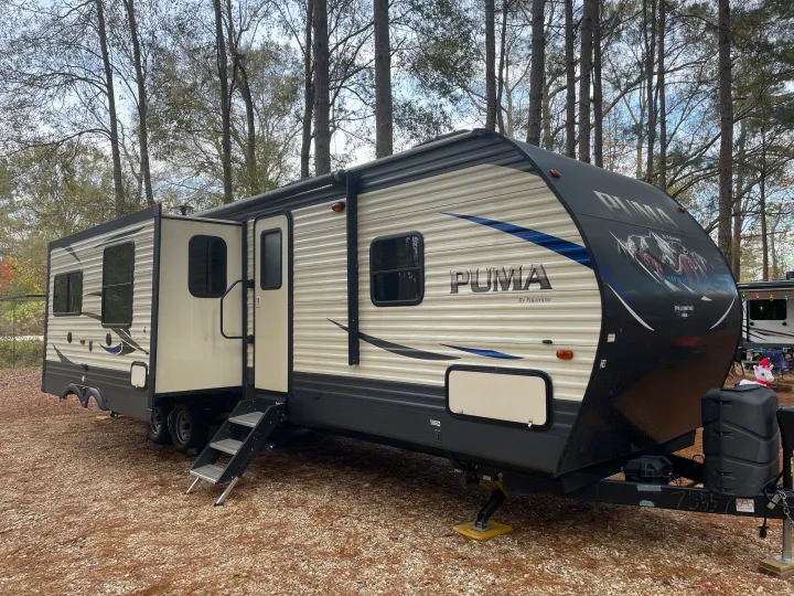 Palomino Puma 2019