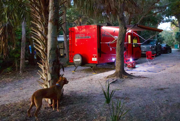 This bright red Micro Minnie RV rental gleams under its awning lights at a serene campsite, with a dog nearby.. Winnebago Micro Minnie 2018