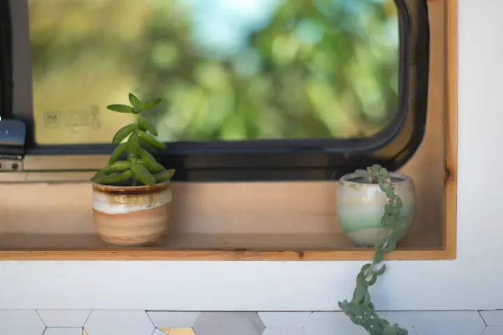 Cozy RV rental interior with succulents on a shelf by the window, offering a touch of nature on the road.. Mercedes-Benz Sprinter 2021