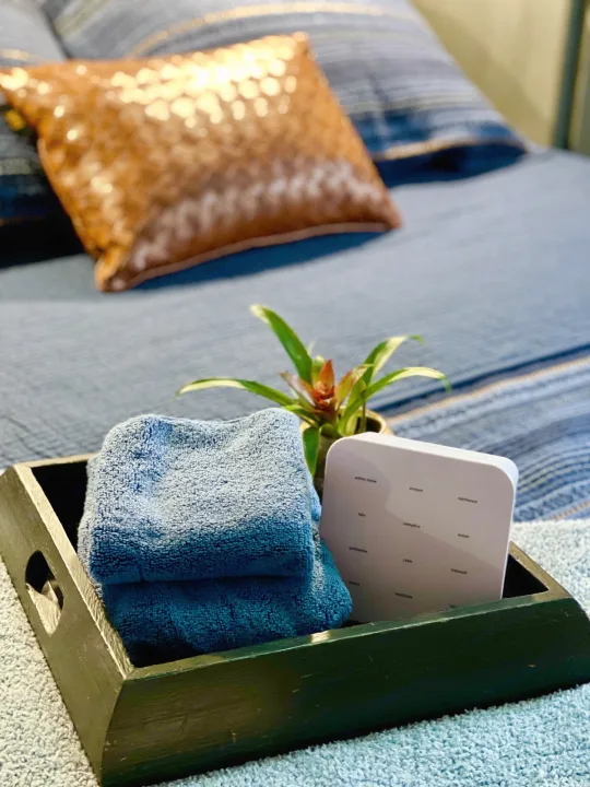 RV rental comfort: A sound machine, fresh blue towels, & plant on a tray by a blue bed create a tranquil space.. Dutchmen Aspen Trail 2022
