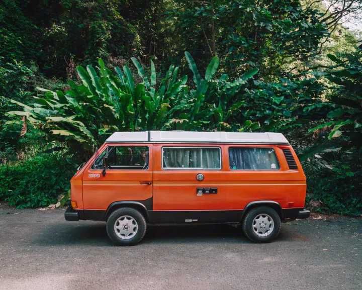 Orange vintage pop-top camper van, ideal for RV rental, parked against lush green tropical plants.. Volkswagen Westfalia 1983