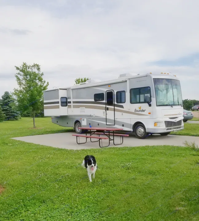 An RV rental is parked at a grassy campsite with a picnic table. A black and white dog walks in the foreground under a cloudy sky.. Fleetwood Other 2006