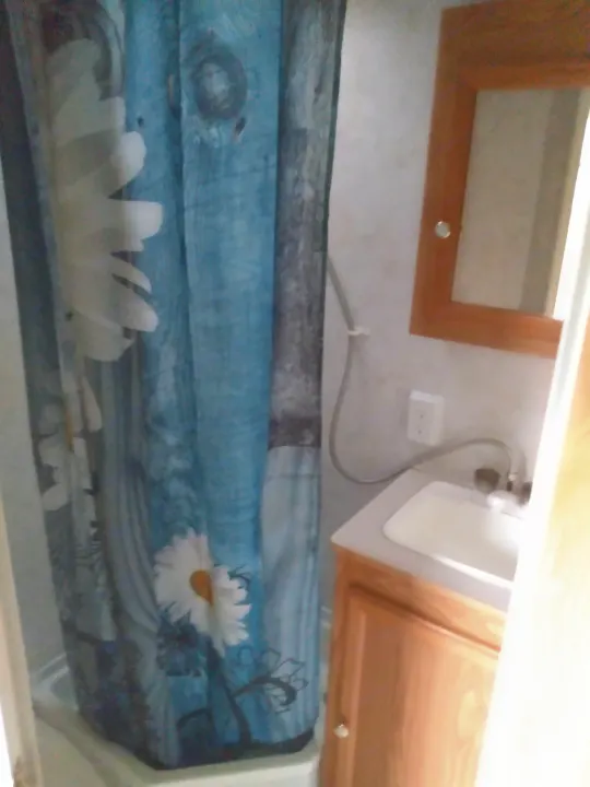 Inside an RV rental, a compact bathroom features a blue daisy shower curtain, white sink, and wood-framed mirror.. Sportsmen Coyote 2002