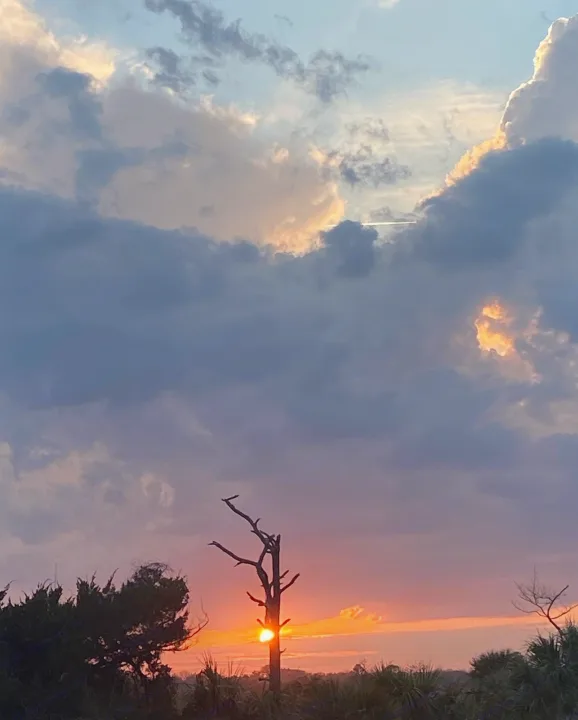 Golden sun behind a bare tree at sunset, with vibrant orange/purple clouds. Imagine this view on your RV rental trip!. Clipper Other 2021