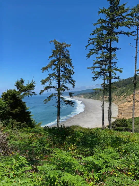 Scenic cliffside view of a vast beach, ocean waves, and green trees. Ideal for an RV rental escape!. Pleasure Way Lexor 2017