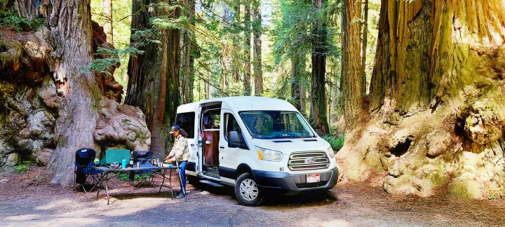An RV rental van is parked in a lush redwood forest campsite. A person prepares food at an outdoor table amidst giant trees.. Ford Transit 2017
