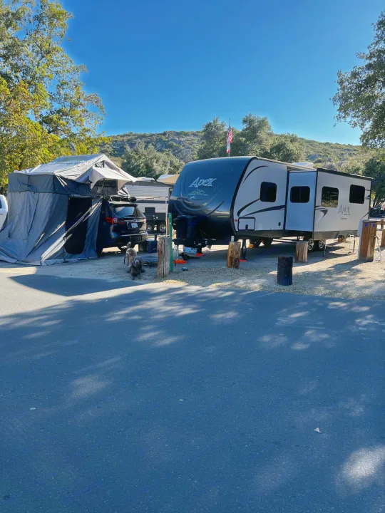 Sunny campsite shows an RV rental & car with rooftop tent. Dogs enjoy the outdoors.. Coachmen Apex 2016