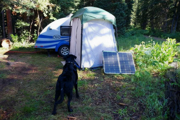Enjoy nature with an rv rental! This camping scene features a T@G trailer, privacy tent, portable solar panels, and a dog.. T@G T@G Trailer 2016