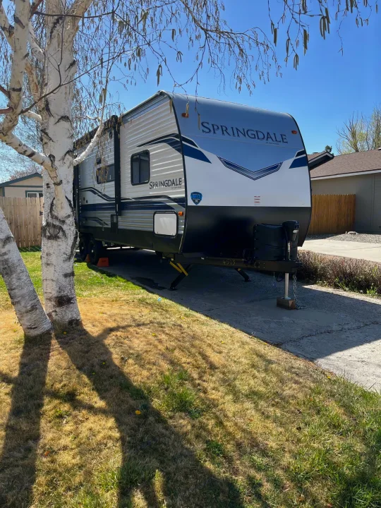 A sleek Springdale travel trailer, ideal for an RV rental, is parked on a sunny driveway beside a prominent white birch tree.. Springdale 251bh 2022