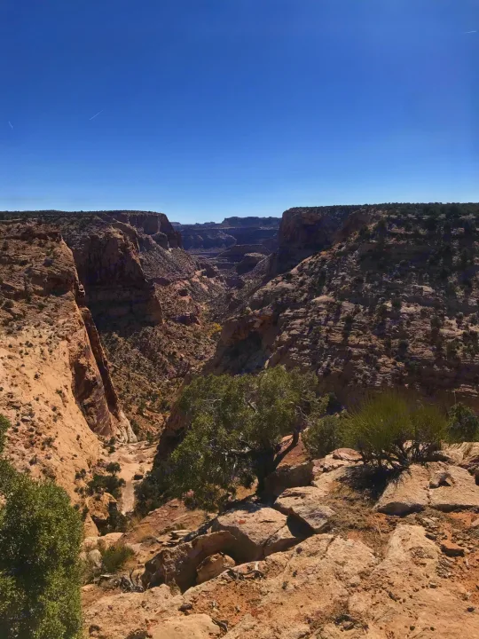 Experience scenic desert canyons in your RV rental. Deep rocky gorge under clear skies, perfect for outdoor adventure.. Forest River Rockwood Roo 2019